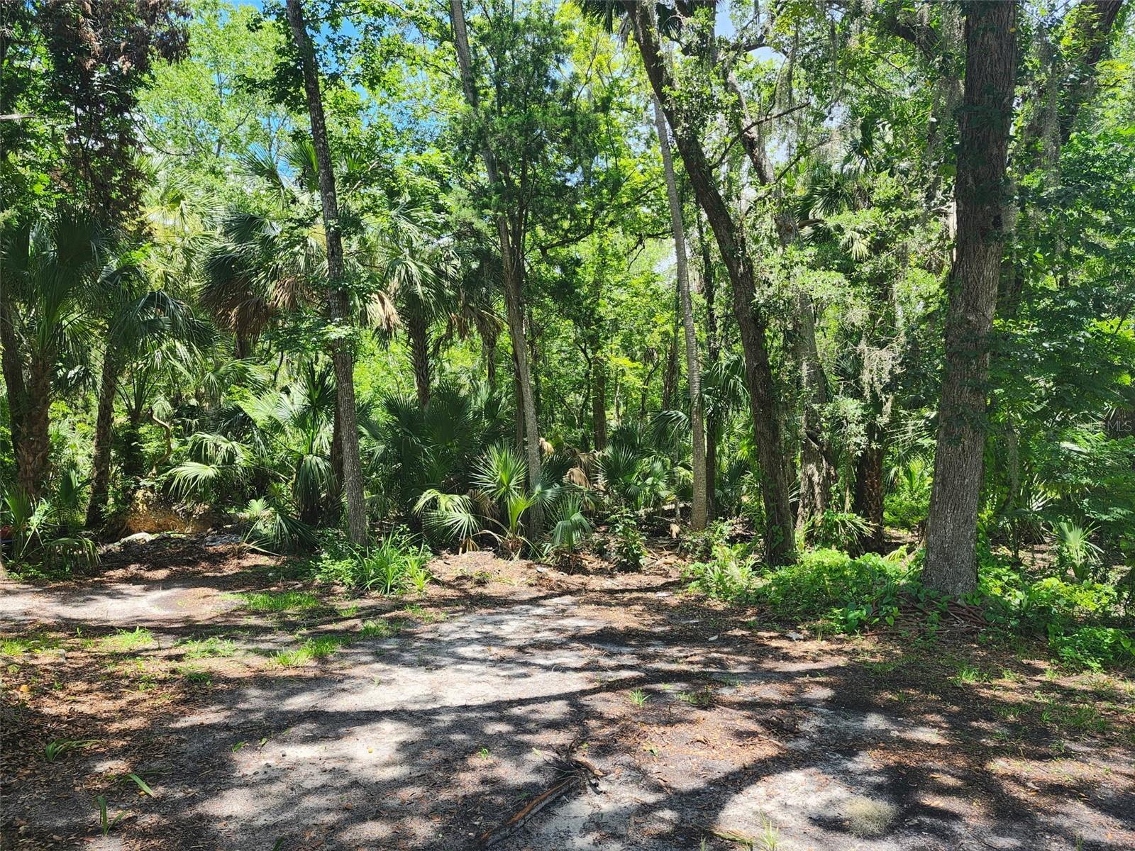 HOMOSASSA TOWN - Residential