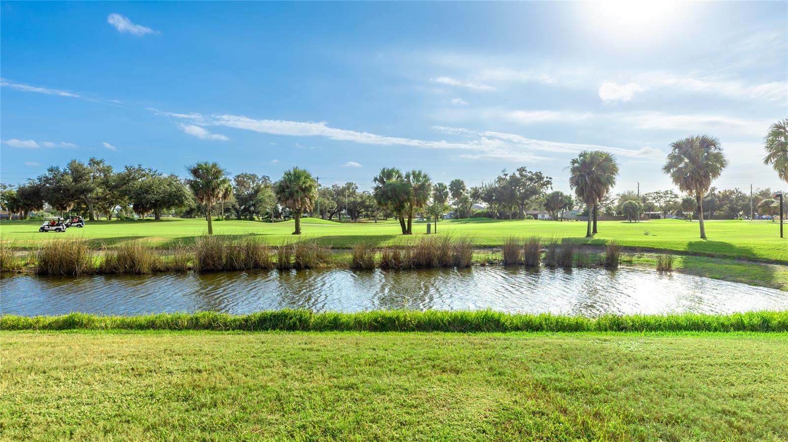 PELICAN POINTE GOLF & COUNTRY CLUB - Residential