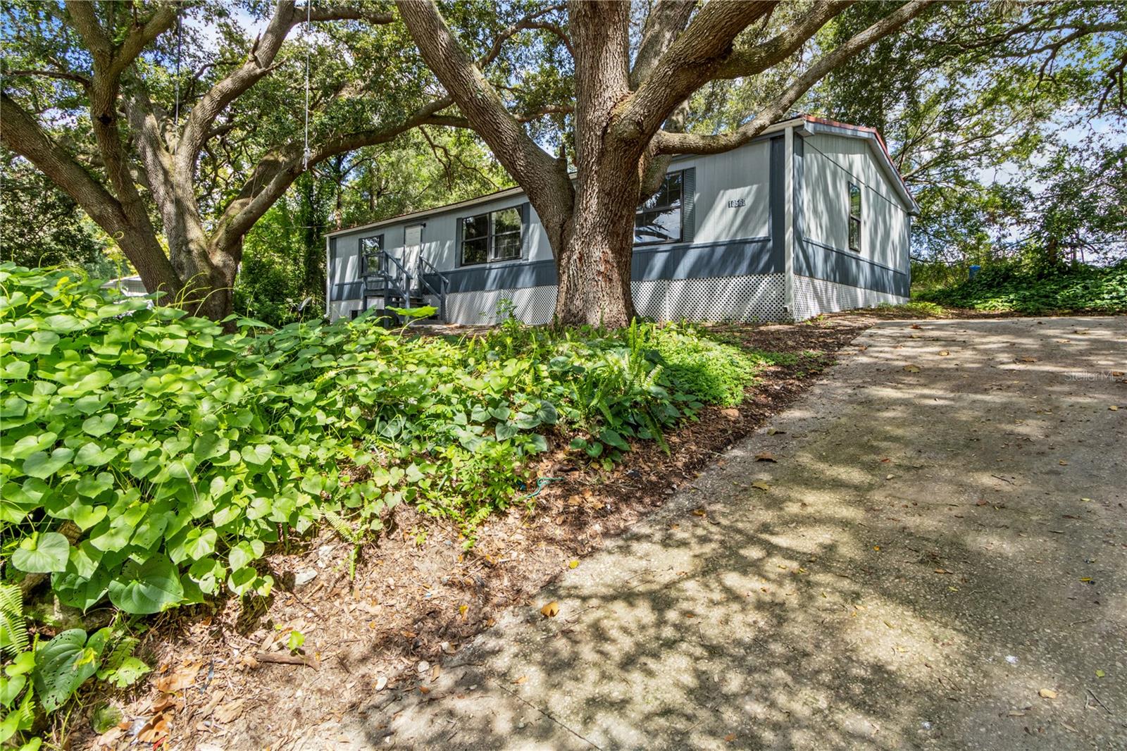 LAKE WEIR HEIGHTS - Residential