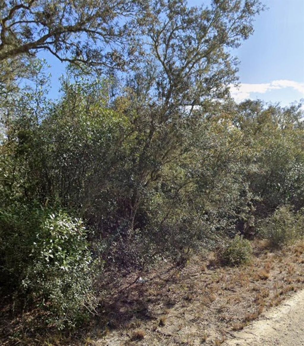 Photo of 00 Little Stone Drive, Webster, FL 33597 (MLS # G5103978)