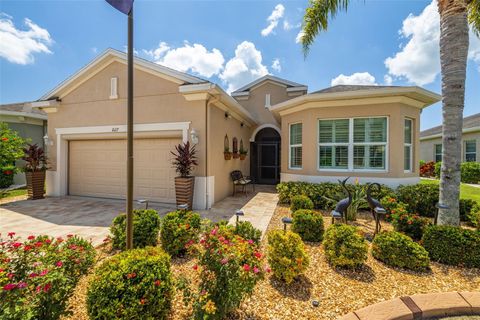 A home in SUN CITY CENTER