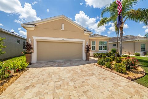 A home in SUN CITY CENTER