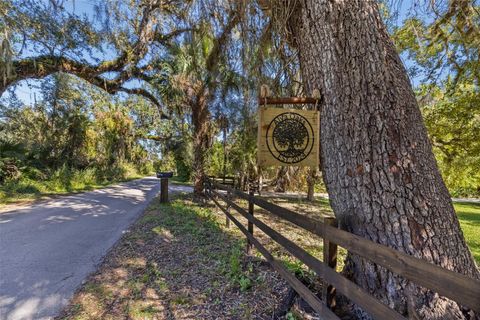 17780 CALOOSA ROAD ALVA FL 33920