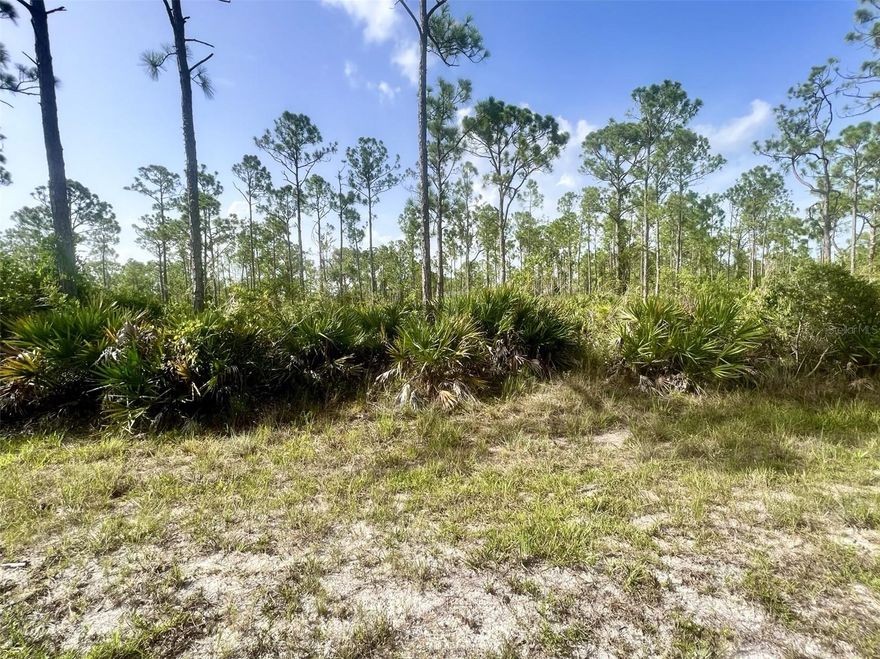 Very nice northern rear exposure lot lot in a quiet developing neighborhood.