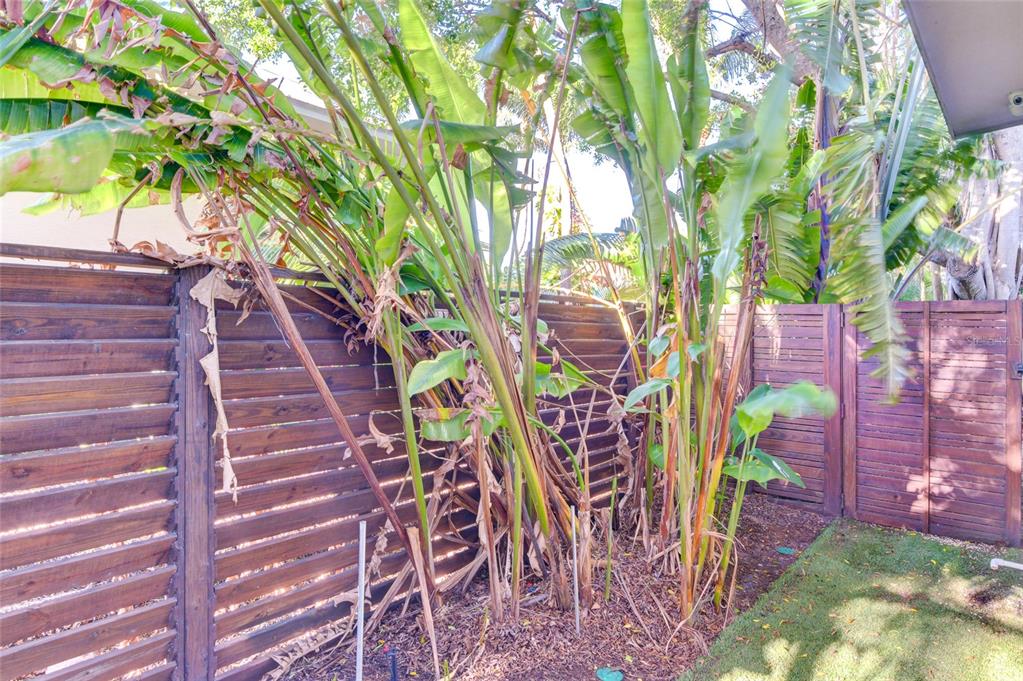 AVONDALE REP - Residential