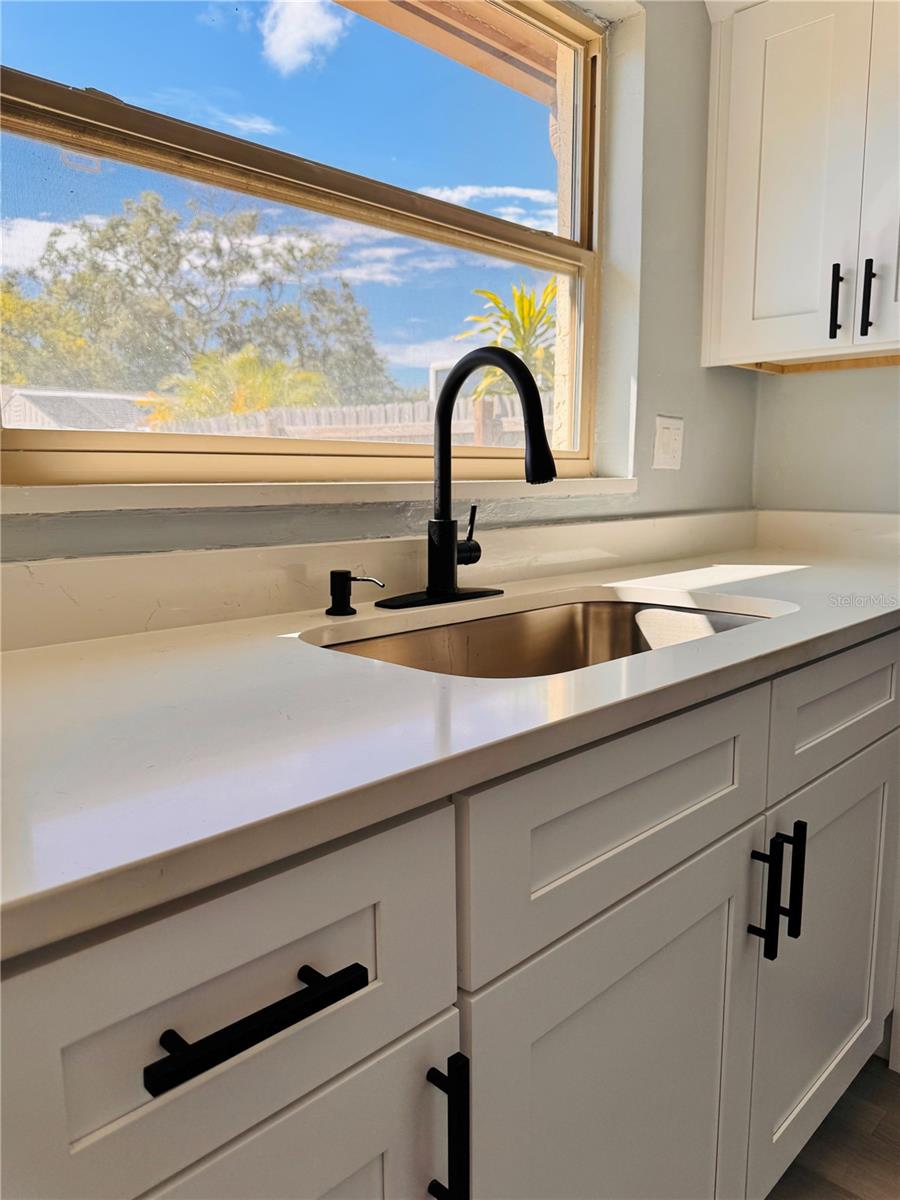 EMBASSY HILLS - Residential