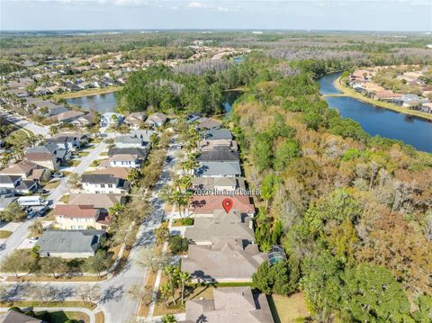 A home in TAMPA