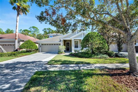 A home in TAMPA