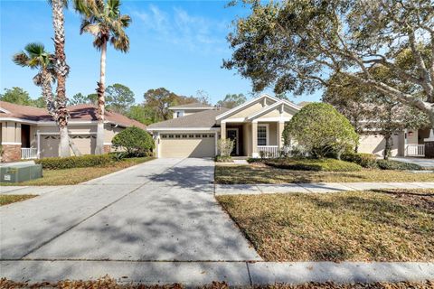 A home in TAMPA