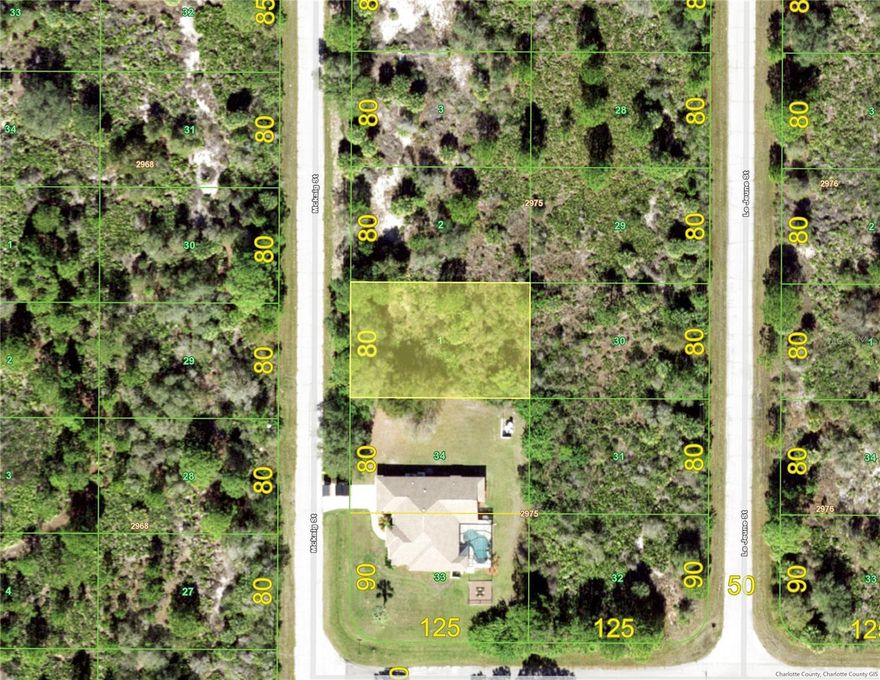 Under contract-accepting backup offers. Rural appeal yet close to Murdock area with shopping, restaurants and recreational opportunities. Electric lines are already in but very quiet area with almost no traffic. This area of the county is quickly developing and has a great future. Easy drive to Englewood beaches from here and so affordable. This would be a great spot for building your Florida dream home!