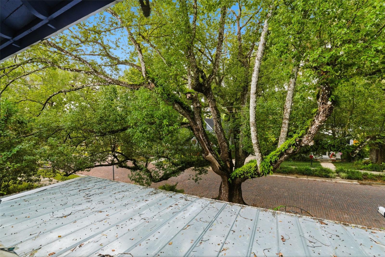 TOWN/BROOKSVILLE - Residential