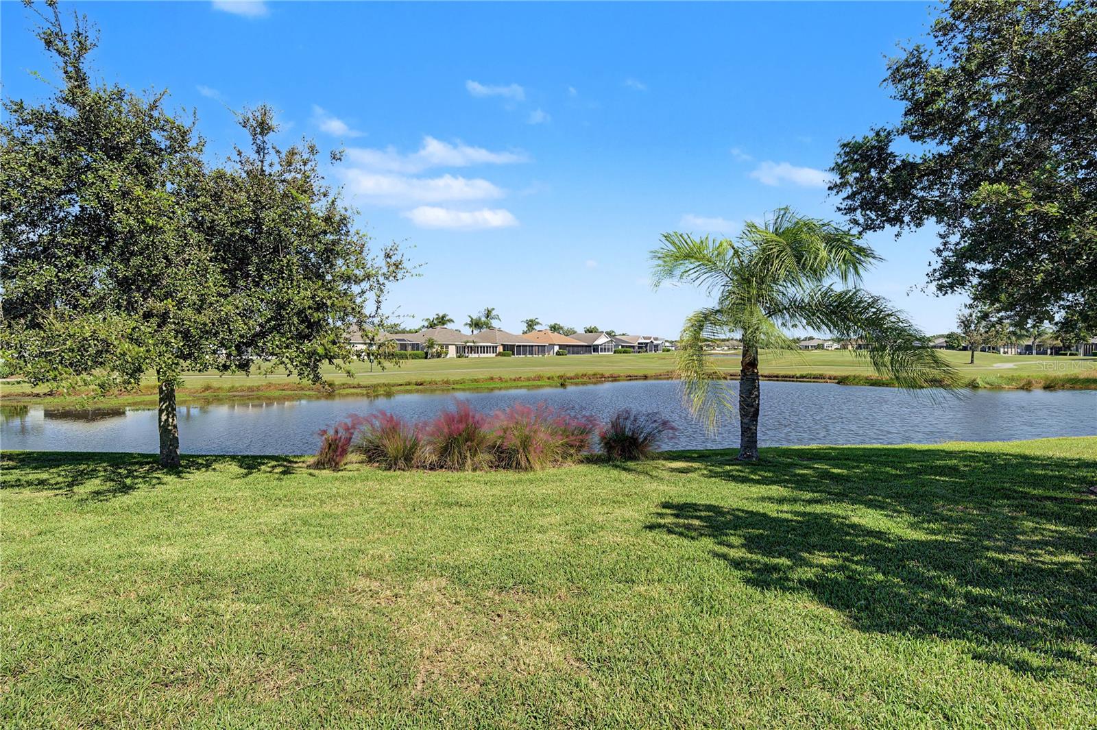 29145 GRASS BUNKER DRIVE