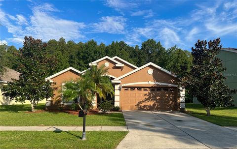 A home in LAND O LAKES