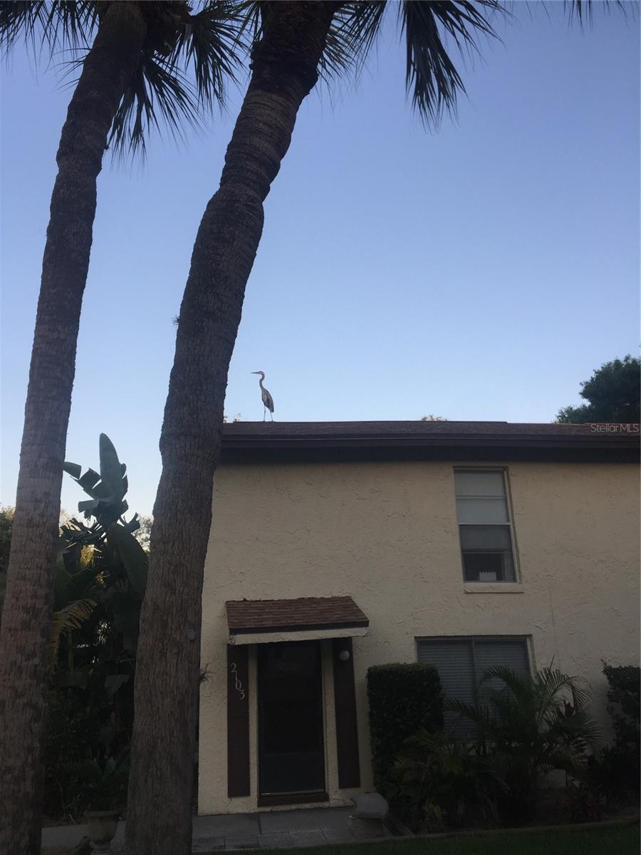 501 EAST BAY DR. 2003