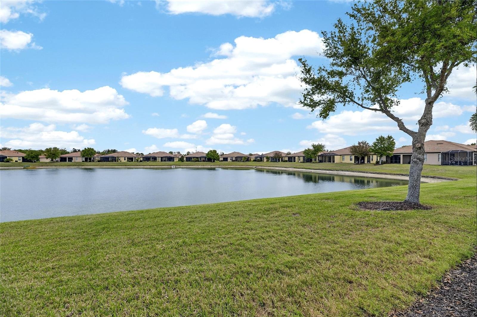 SOUTHSHORE FALLS PH 2 - Residential