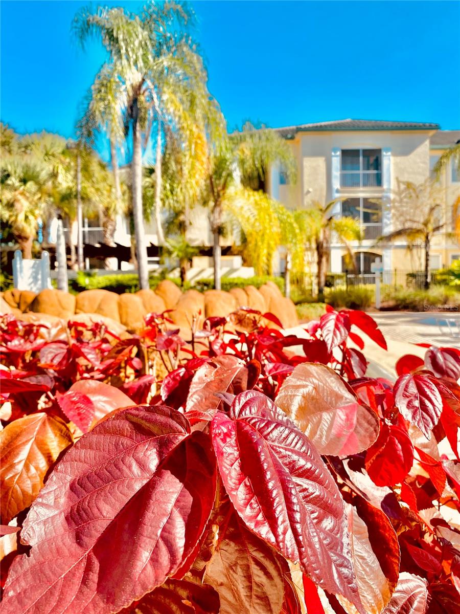 LEGACY DUNES CONDO - Residential