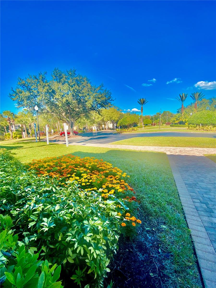 LEGACY DUNES CONDO - Residential