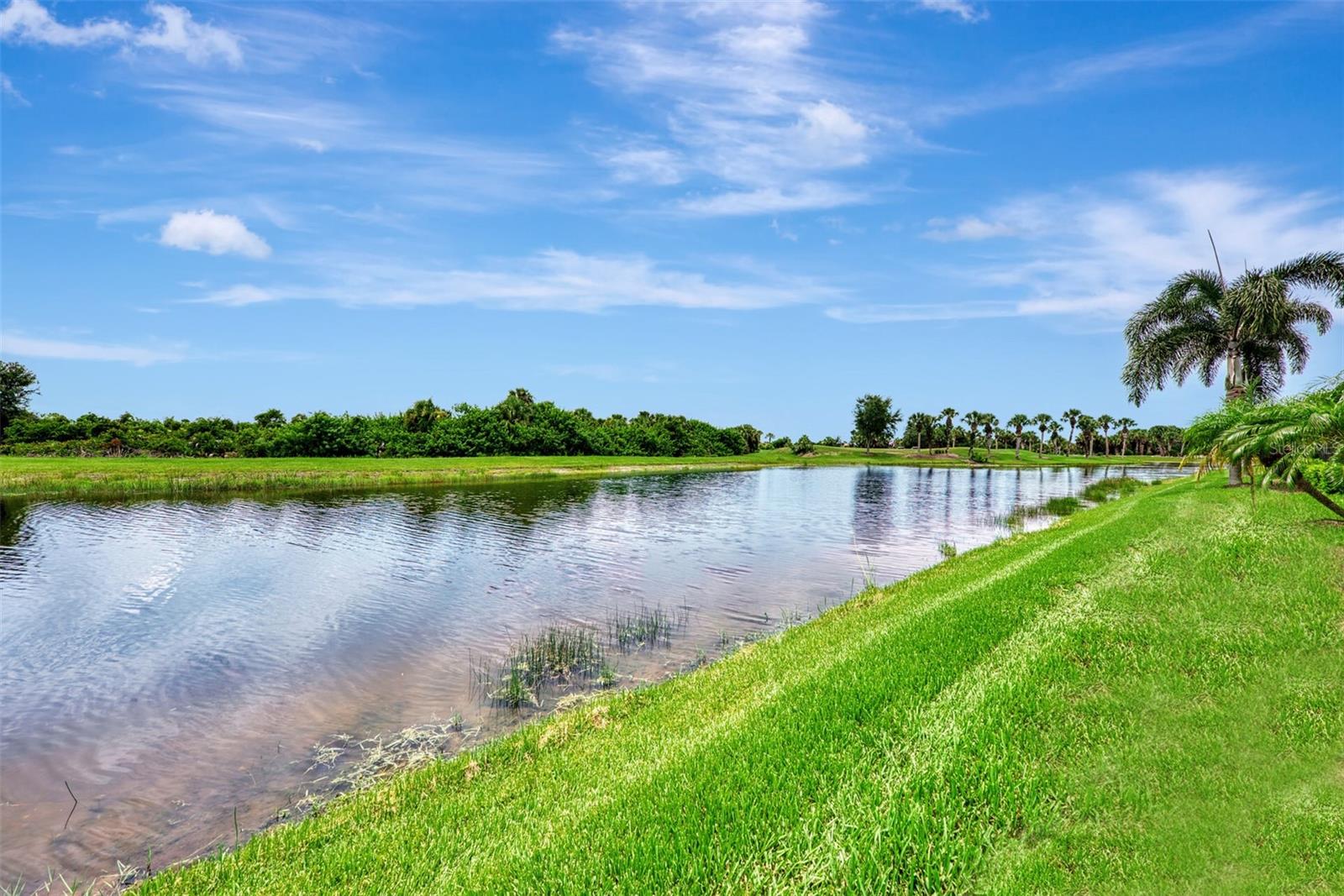 SARASOTA NATIONAL - Residential