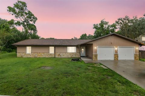 A home in SILVER SPRINGS