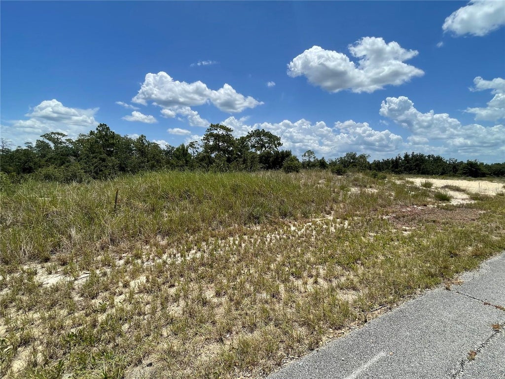 Photo of 1342 Homosassa Court, Poinciana, FL 34759 (MLS # O6424652)