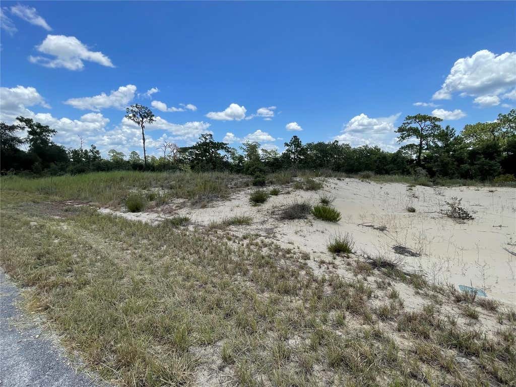 Photo of 1342 Homosassa Court, Poinciana, FL 34759 (MLS # O6424652)