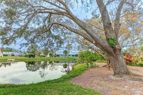 Single Family Residence in VENICE FL 810 BAYPORT CIRCLE 29.jpg