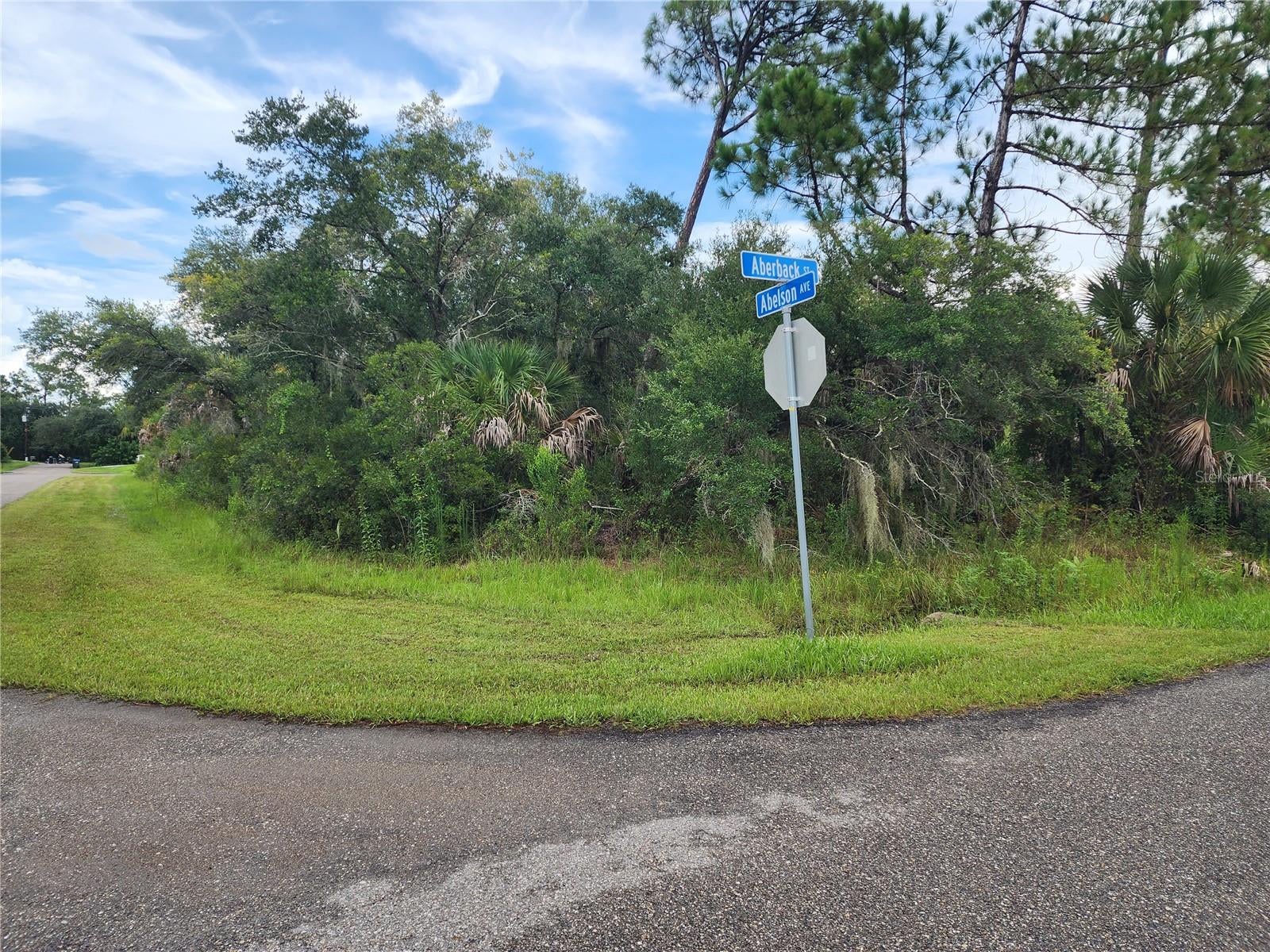 ABELSON AVENUE