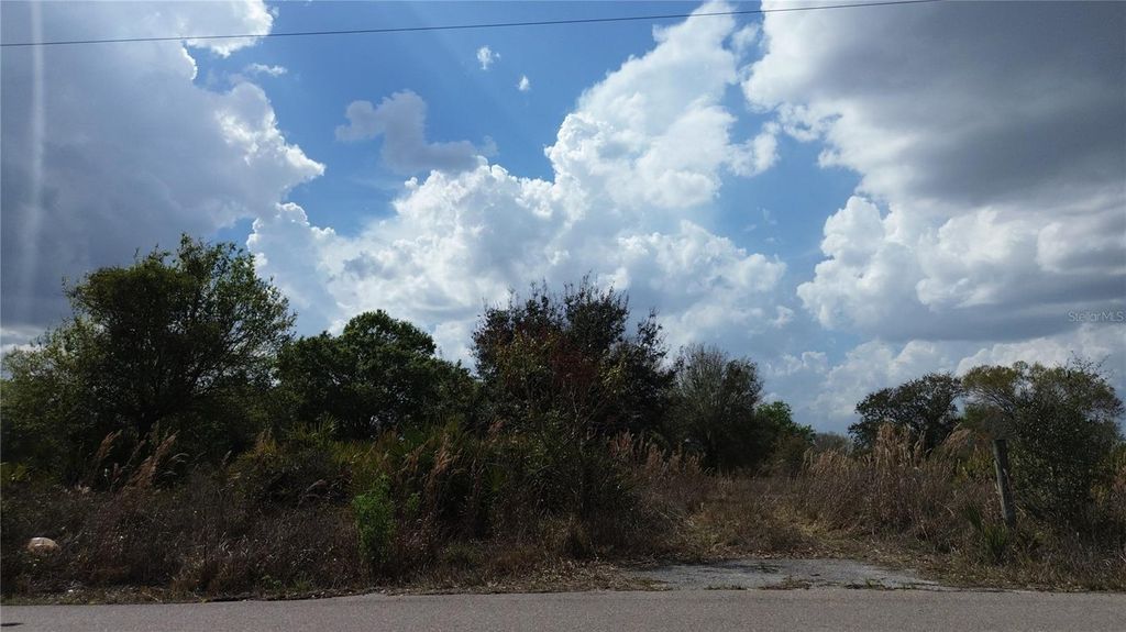 Photo of 1775 NE Cross Avenue, Arcadia, FL 34266 (MLS # C7522886)