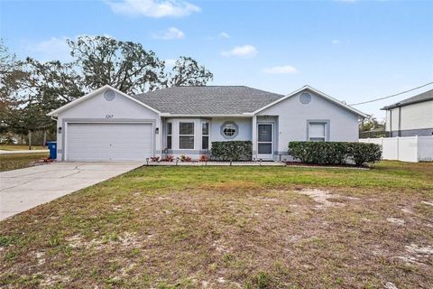 3267 GUAVA LANE SPRING HILL FL 34609