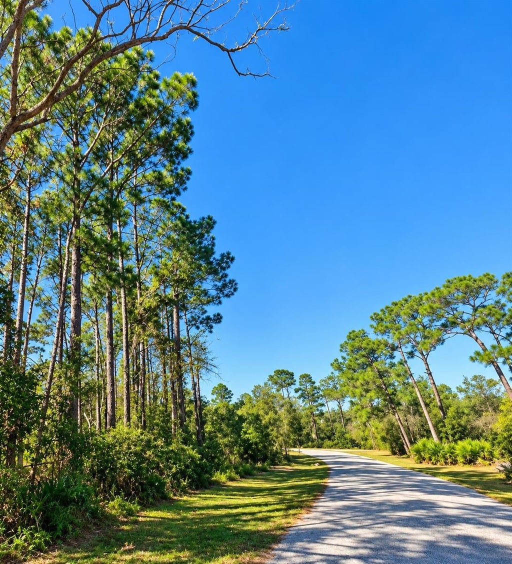 Photo of 14364 Model Road, Orlando, FL 32826 (MLS # O6449757)
