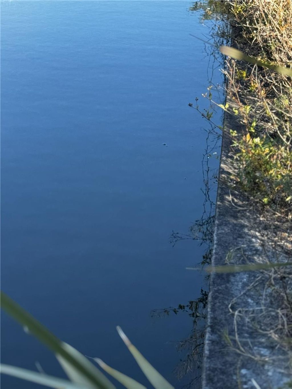 Photo of 1715 NE 13th Terrace, Cape Coral, FL 33909 (MLS # C7520380)