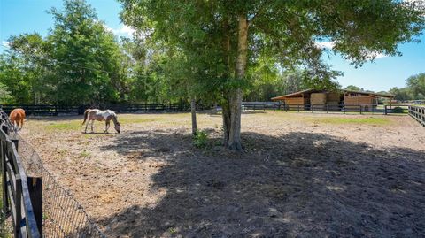 Tiny photo for 18350 SE 42nd Place, Morriston, FL 32668 (MLS # OM724058)
