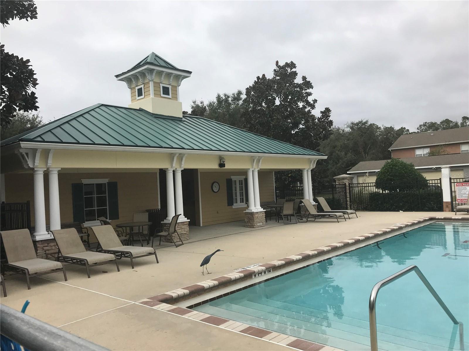 LAKES/WINDERMER LAKE REAMS TWNHM - Residential