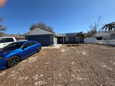 1407 PINEY BRANCH CIRCLE VALRICO FL 33594