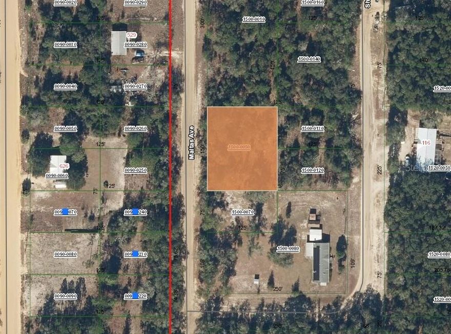 Great double lot (just under a .50 acre!) in a growing community!! Perfect for your future build with electricity nearby, able to keep the peaceful rural environment while yet only just a short driving distance to all of your shopping and dining needs. This lot is ideal for a buyer who has been waiting to build or the builder who might be looking to invest. Owner financing is also available!