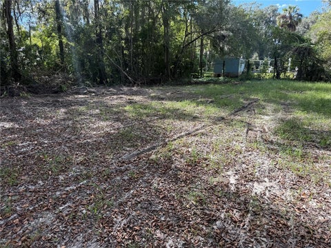 Tiny photo for County Road 426a, Lake Panasoffkee, FL 33538 (MLS # G5119437)