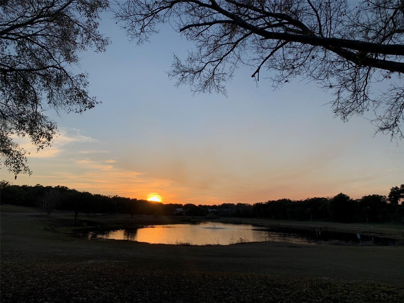 ZELLWOOD STATION - Residential