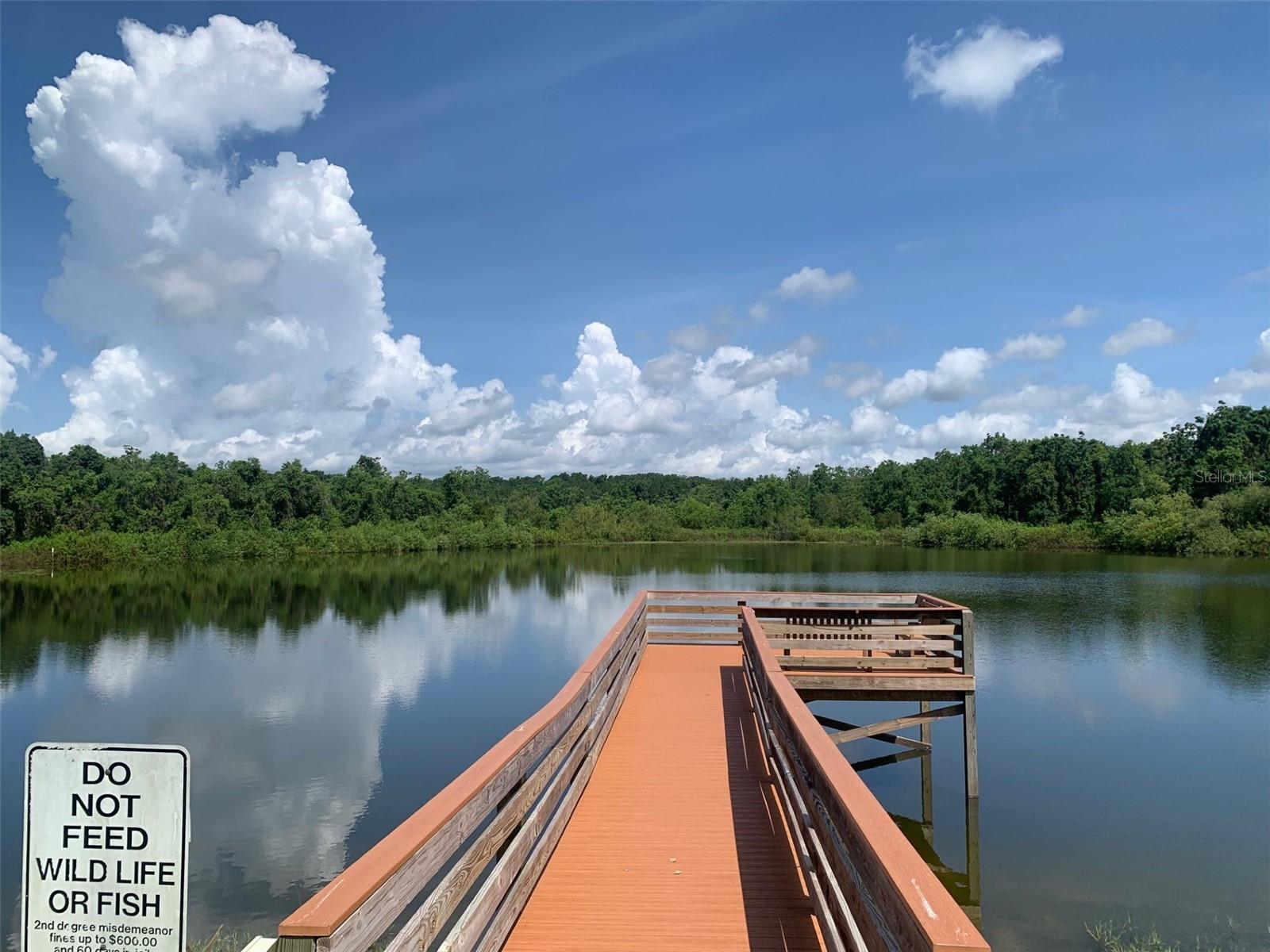 ZELLWOOD STATION - Residential