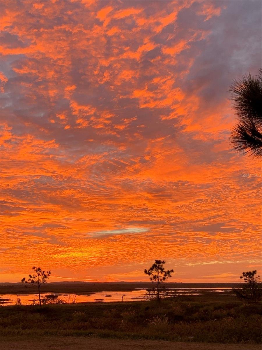 ZELLWOOD STATION - Residential