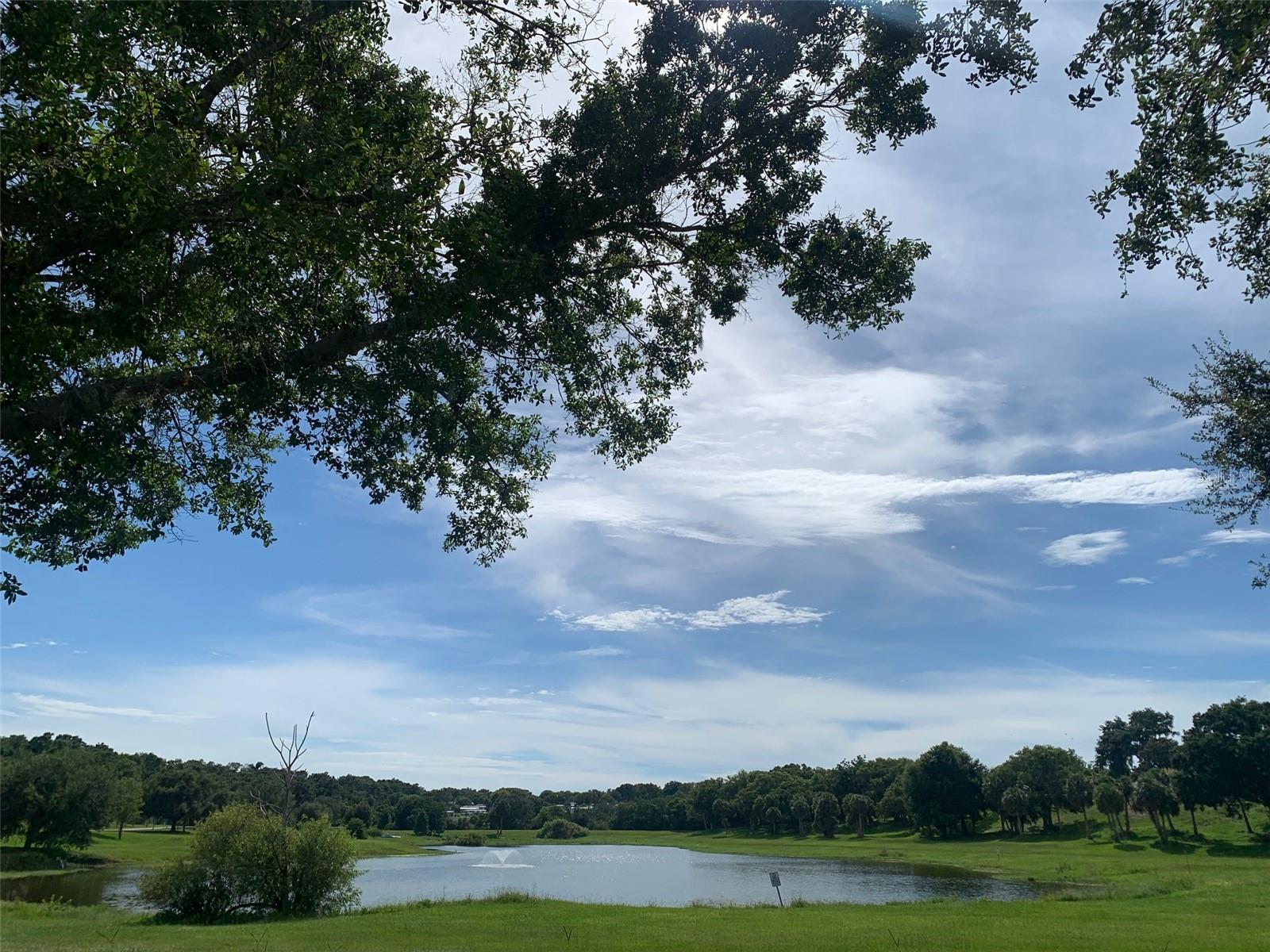 ZELLWOOD STATION - Residential