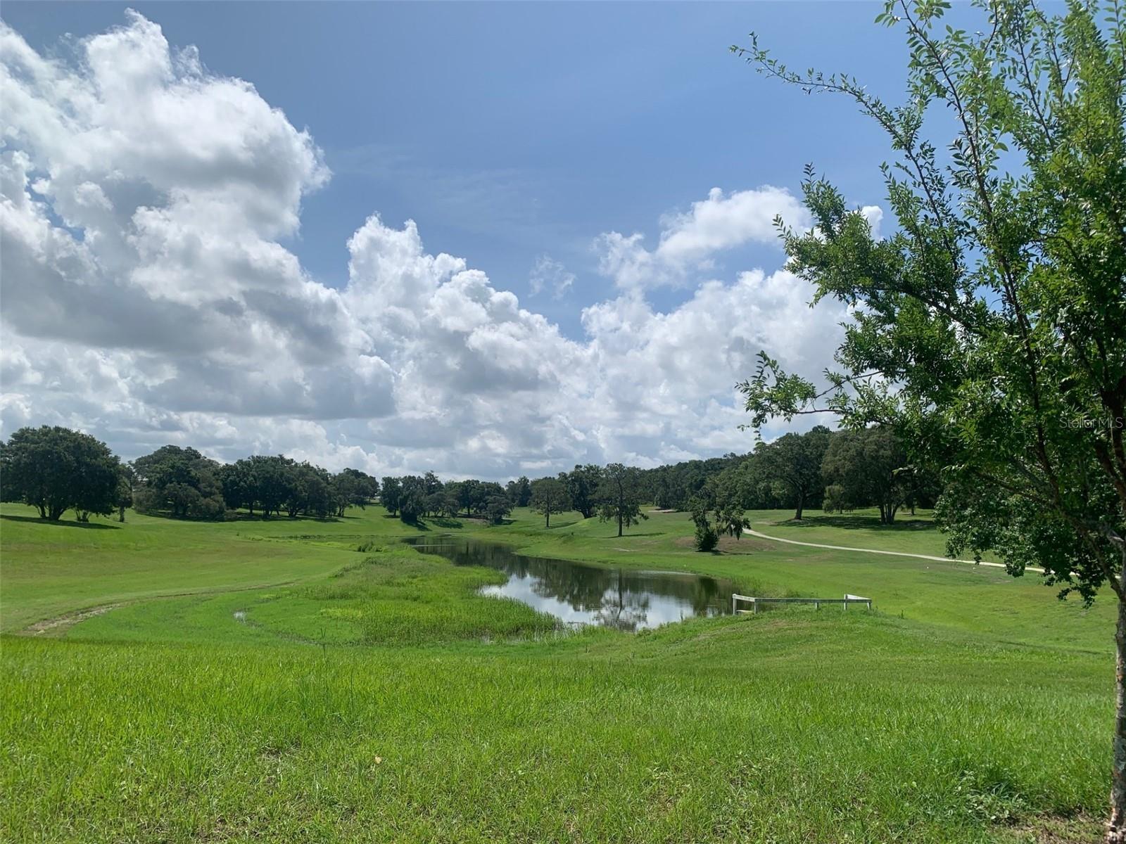 ZELLWOOD STATION - Residential