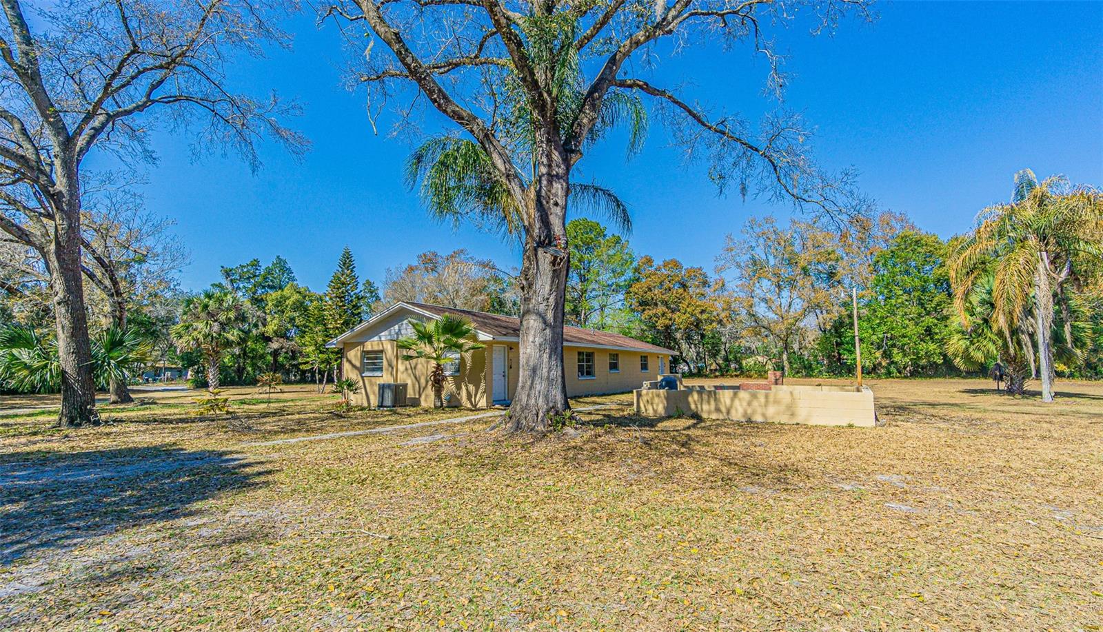 3902 AUTUMN PALM DRIVE