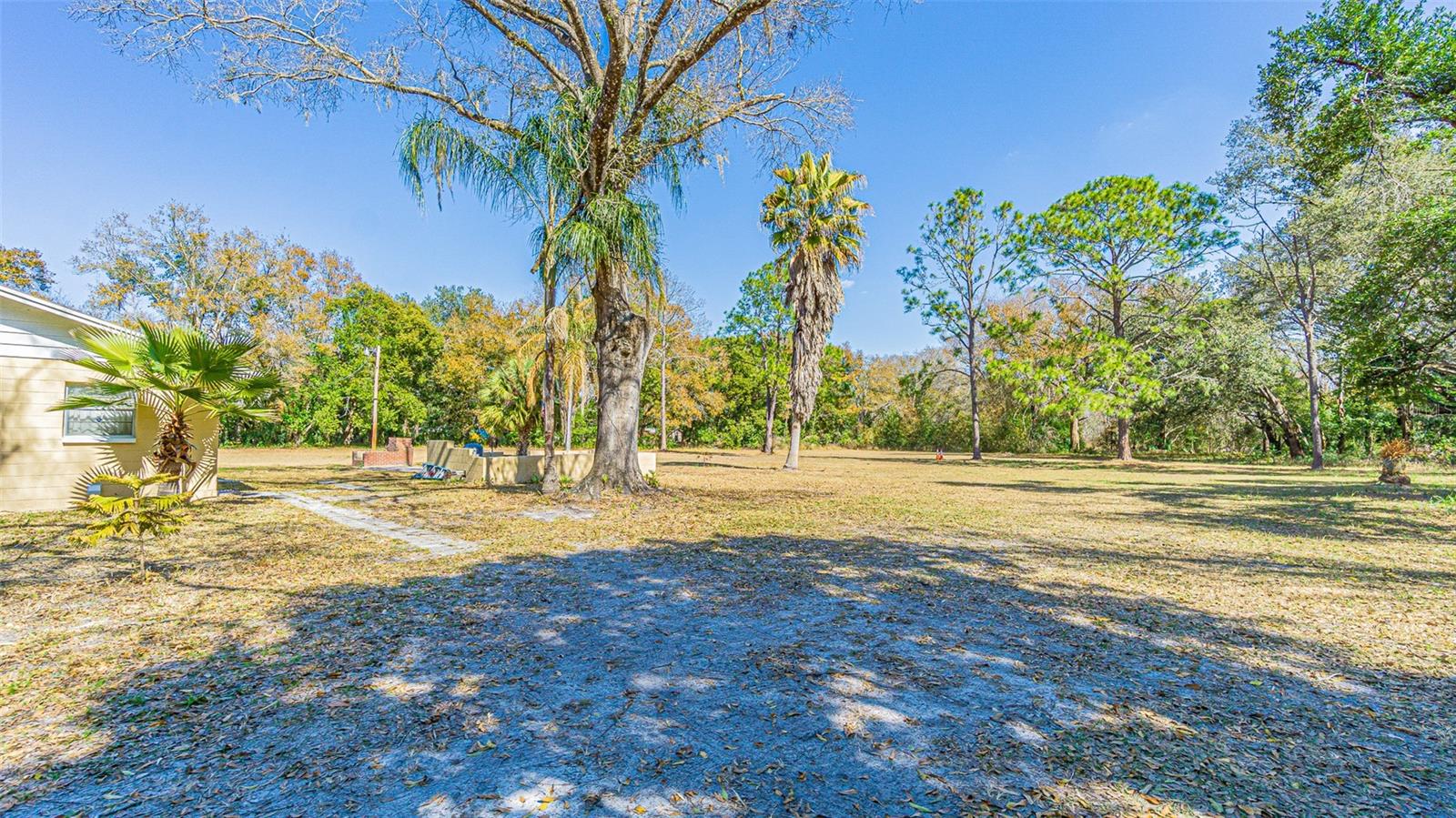 3902 AUTUMN PALM DRIVE