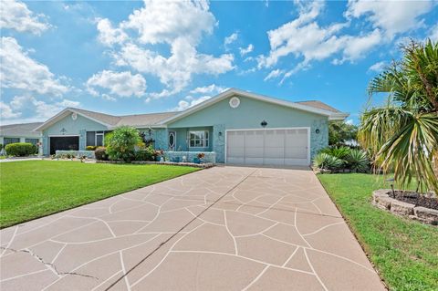 A home in SUN CITY CENTER