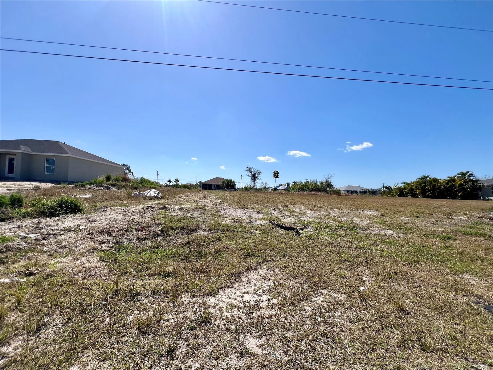 CAPE CORAL - Land