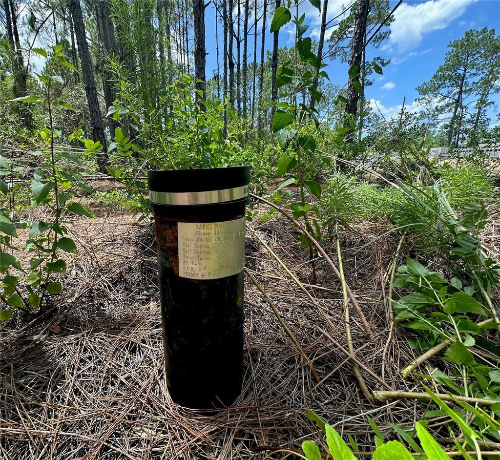 Photo of 796 Fisher Road, Ocklawaha, FL 32179 (MLS # G5100135)