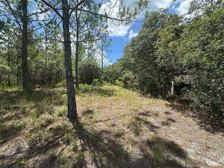 * * PRICED TO SELL * *  Discover this beautiful 32.47 Acre vacant parcel fronting scenic Fisher Road in Ocklawaha, Florida—Zoned R E (Residential Estate) for low-density Residential or Agricultural use, with No HOA. The property includes an existing POTABLE WATER WELL (suitable for drinking); a pump and pressure tank will need to be installed to make it operational. The R E (Residential Estate) zoning supports large-lot, single-family homes and allows accessory agricultural or rural uses—such as barns, home-based farming, or certain agricultural structures—consistent with its intent to foster low-density estate development on spacious parcels (note: Specific Use Allowances Should Be Confirmed Via County Zoning Codes). Located near the tranquil Malauka Road & Malauka Loop area and just minutes from Silver Springs Shores, this parcel offers serene rural living with easy access to community parks, trails, and amenities in Ocala. Whether you're planning a homestead, agricultural use, or long-term land holding, this versatile site provides excellent opportunity. While precise boundary dimensions are not publicly recorded, the acreage is verified through Marion County property appraiser and GIS data. The Buyer / Buyer’s Agent to independently verify (Due Diligence) all Zoning, Utility Availability, Permitting, and Property Specifics. All information provided in this report is believed true and accurate at data entry but not guaranteed.