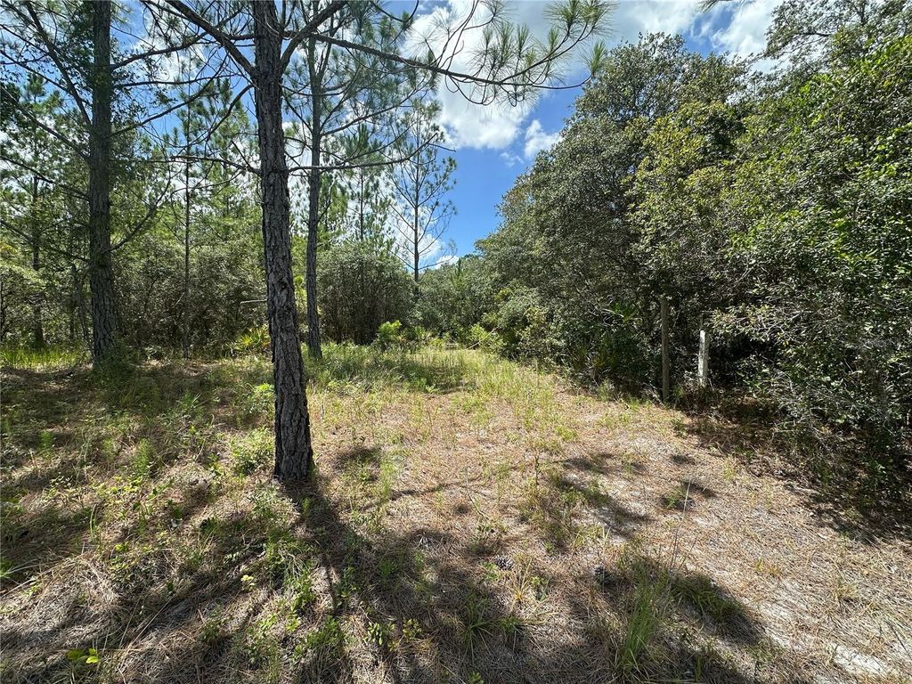 Photo of 796 Fisher Road, Ocklawaha, FL 32179 (MLS # G5100135)