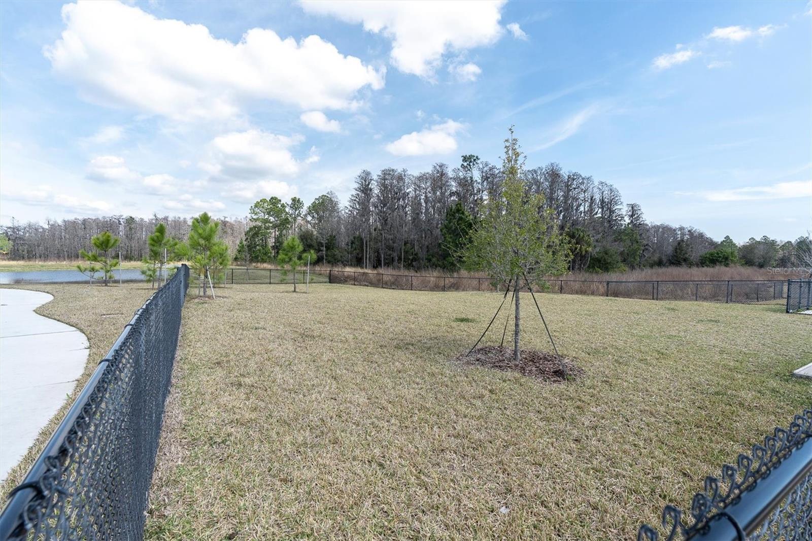LONGLEAF NEIGHBORHOOD 03 - Residential