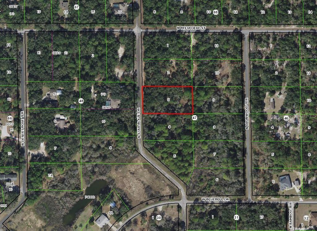 Photo of 8473 N Star Blaze Drive, Crystal River, FL 34428 (MLS # TB8432761)